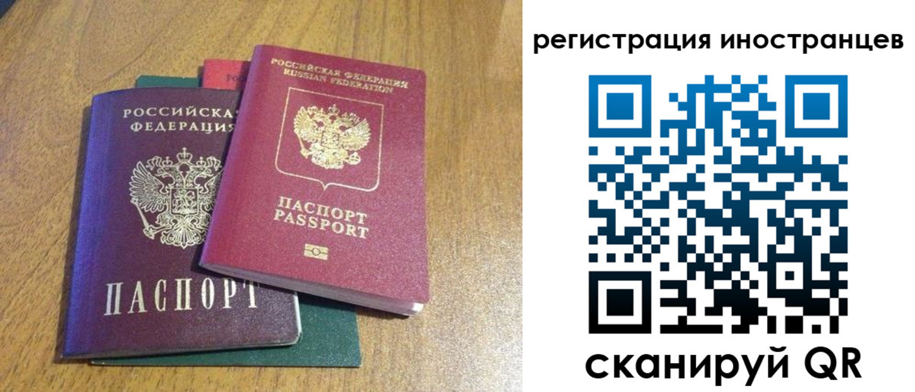 временная регистрация поиск в Кургане